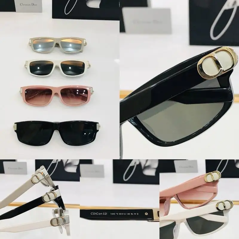 Dior Glasses smh (10)